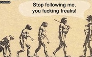 Stop following me, freaks