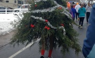 The walking Christmas tree. It's just tired of your Christmas bullsh*t and went to the forest.