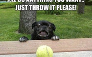 Just throw it please