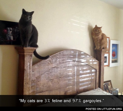 Feline and gargoyles