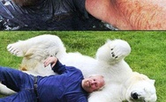 A Guy And His Pet Polar Bear