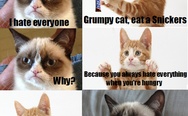 Grumpy cat, eat a Snickers. The cat version.