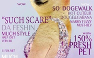 Vogue? No. Doge.